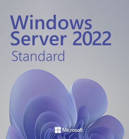 Microsoft Windows Server 2022 Standard